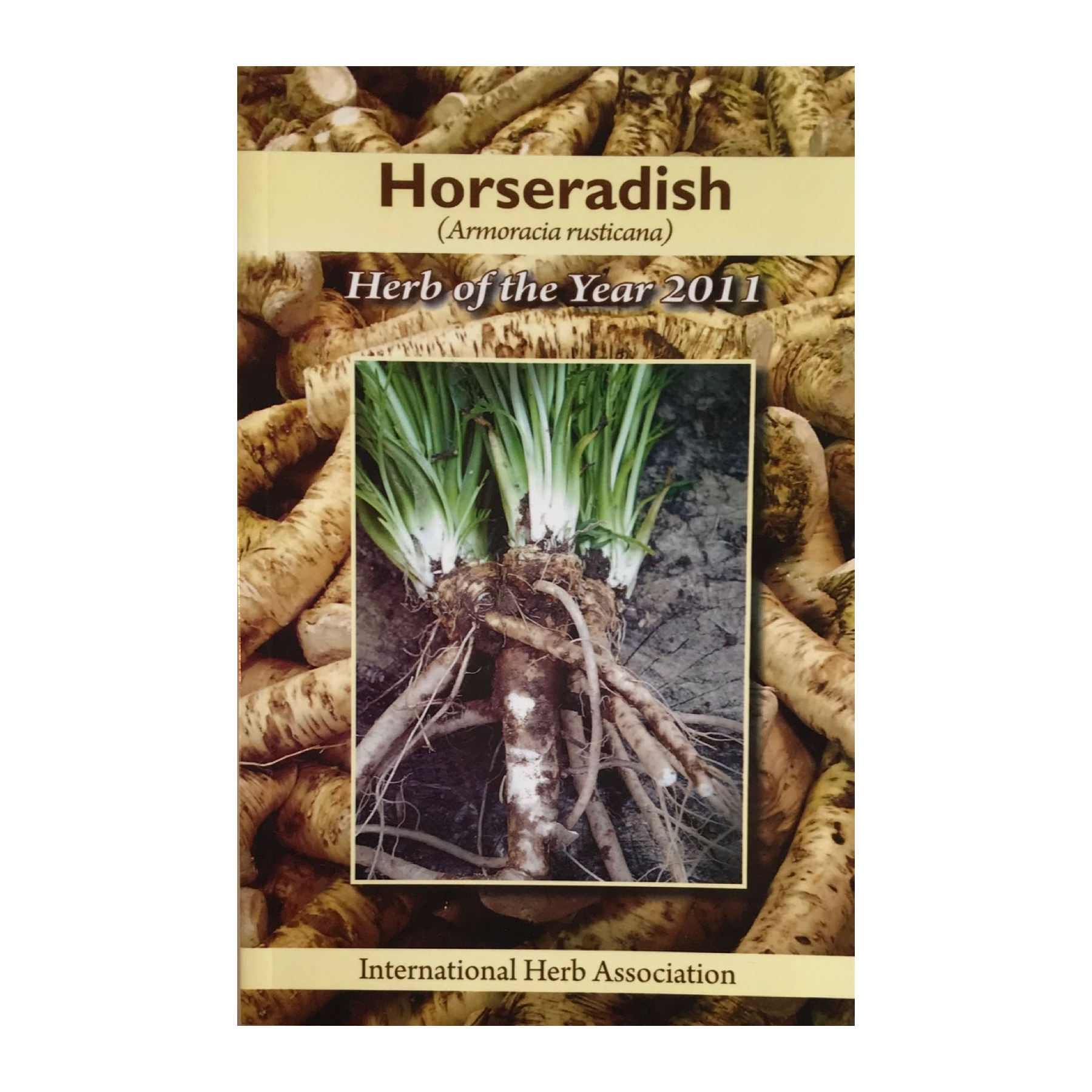 2011 Herb of the Year™ Horseradish (Armoracia rusticana) The