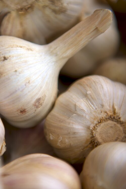 Glorious Garlic (ebook)