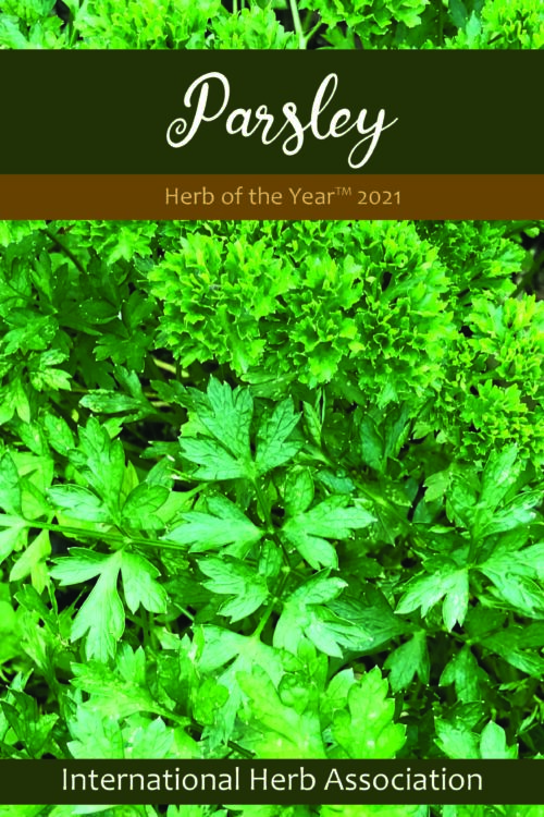 Parsley: Herb Of The Year™ 2021