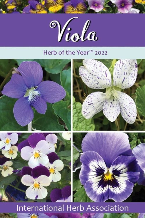 Viola: Herb Of The Year™ 2022